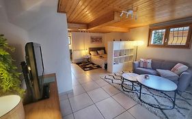 Studio Design 40m2 Calme avec Parking Proche Geneve et Annecy